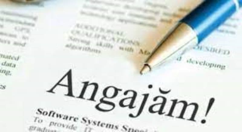 Bursa Locurilor de Muncă din Botoșani: 22 de absolvenți au fost încadrați pe loc, iar 53 de tineri au fost selectați pentru a da probe de lucru