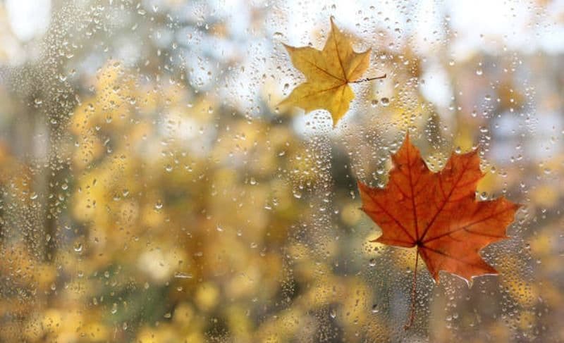 Prognoza meteo pentru următoarele două săptămâni. Meteorologii ANM anunță o nouă răcire a vremii în România
