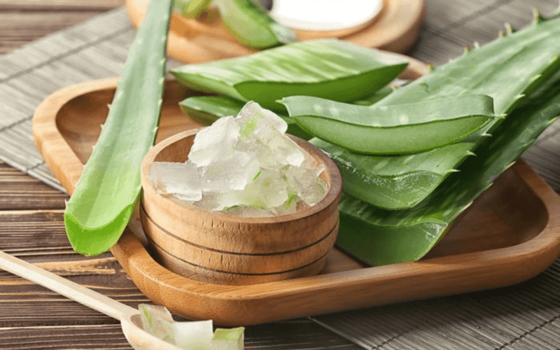 Beneficiile plantei aloe vera: bună de pus pe rană