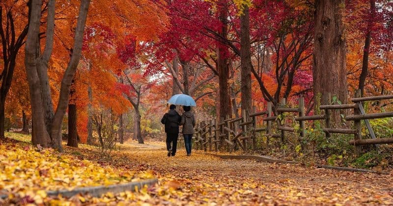 ANM a publicat prognoza pentru următoarele două săptămâni. Vezi cum va fi vremea în zona Moldovei!