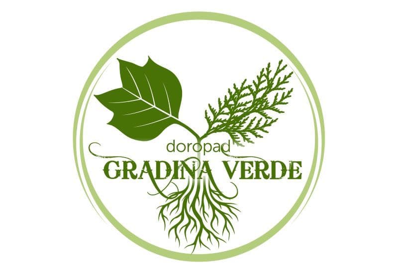 Gradina de lângă bloc - Proiect de înverzire a municipiului Dorohoi