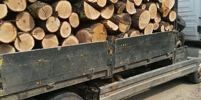 Material lemnos confiscat de polițiști la Flămânzi