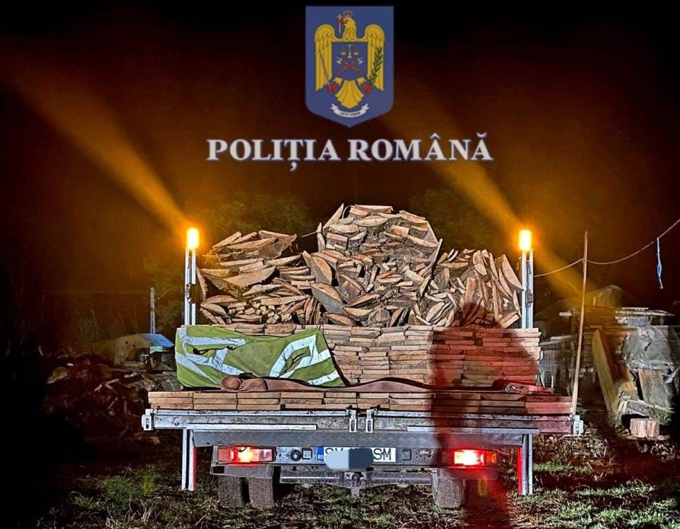 Acțiune pentru combaterea faptelor ilegale în domeniul silvic