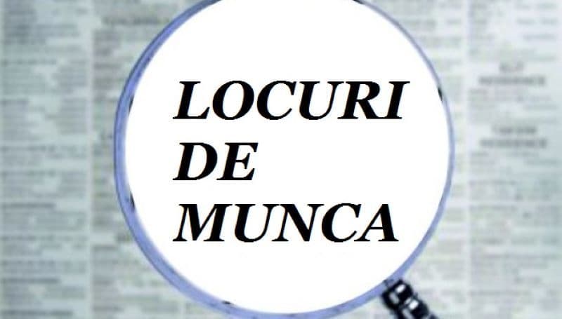 AJOFM Botoșani: Oferta de locuri de muncă vacante în Uniunea Europeană
