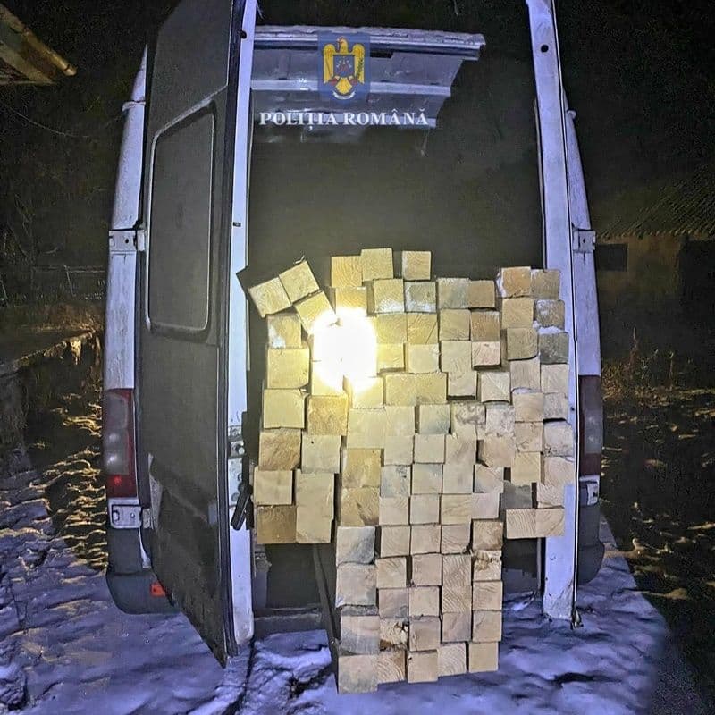 Material lemnos confiscat la Ștefănești și Vârfu Câmpului