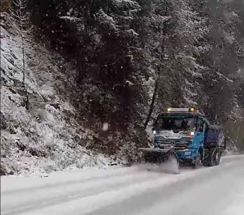 Ninsori abundente în zona montană a județului Suceava. Județul Botoșani se află sub atenționare de cod galben de ceață