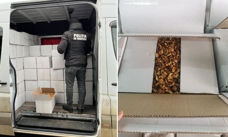 Două tone de miez de nucă confiscate la Mihăileni. Bărbatul intenționa să le comercializeze în județul Suceava