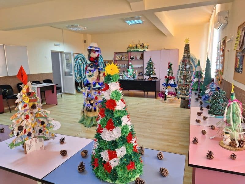 Proiect educațional „Bradul de Crăciun”, organizat la Școala Profesională Specială „Ion Pillat” Dorohoi – FOTO