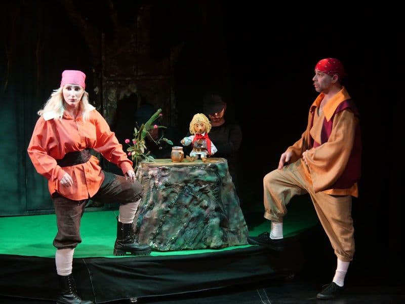 Teatrul_Vasilache_02