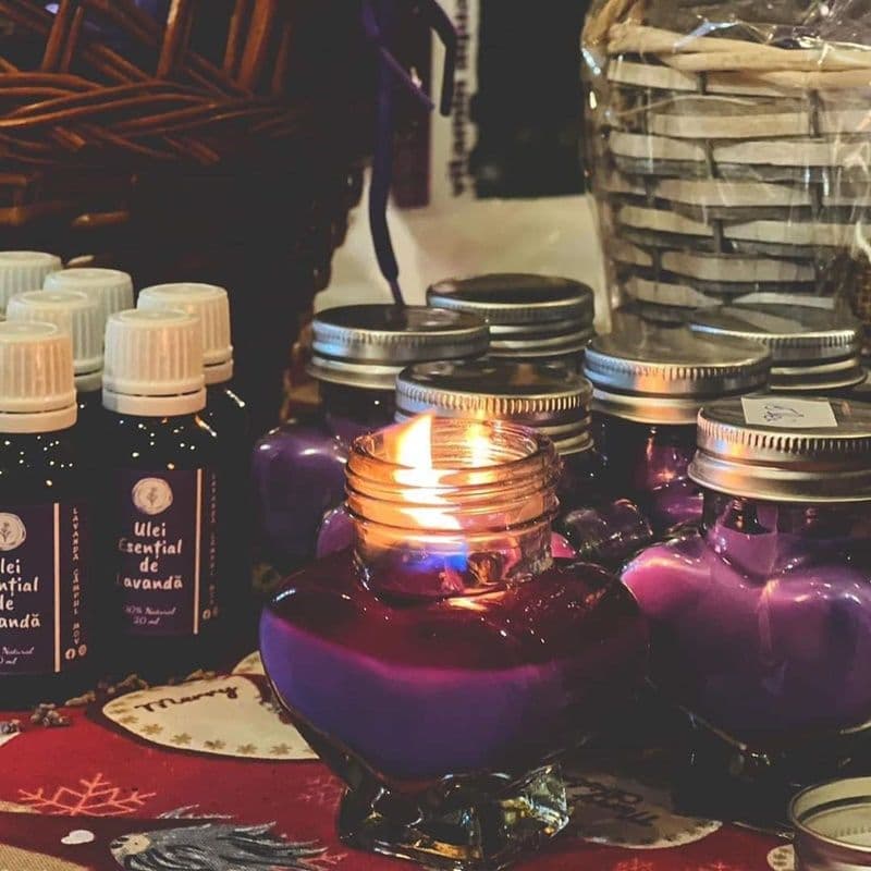 Camp cu lavanda_07