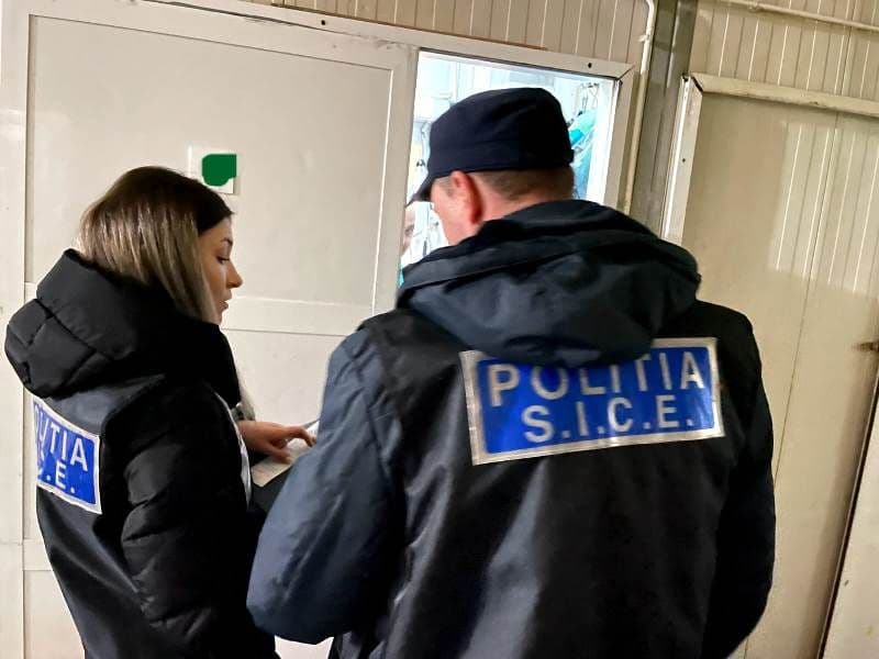 Controale SICE (5)