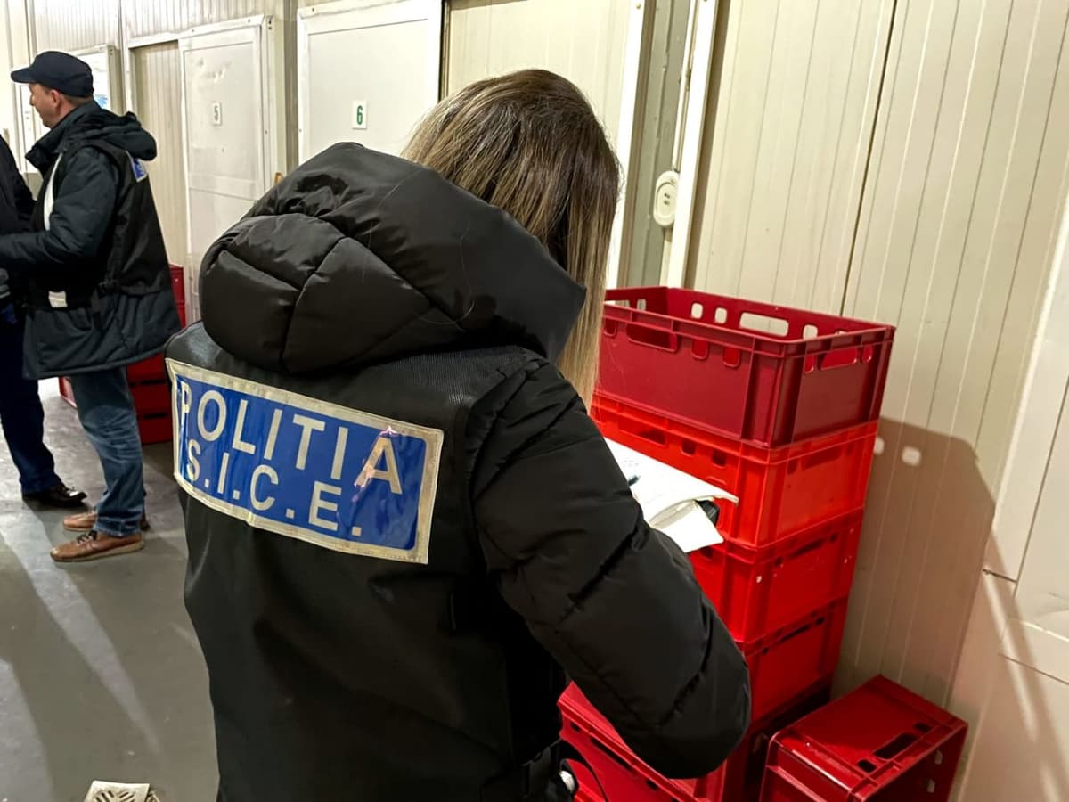 Controale SICE (2)
