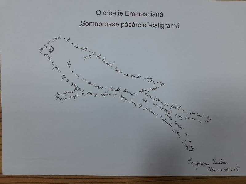 Eminescu Scoala Kogalniceanu Dorohoi_ (2)
