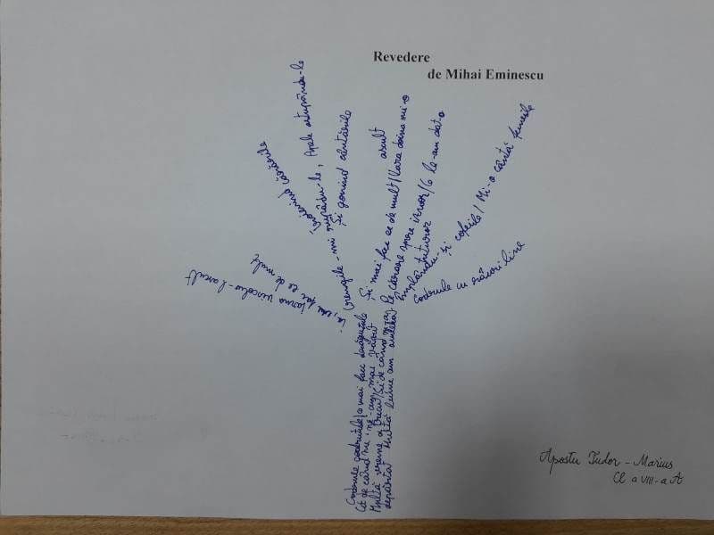 Eminescu Scoala Kogalniceanu Dorohoi_ (8)