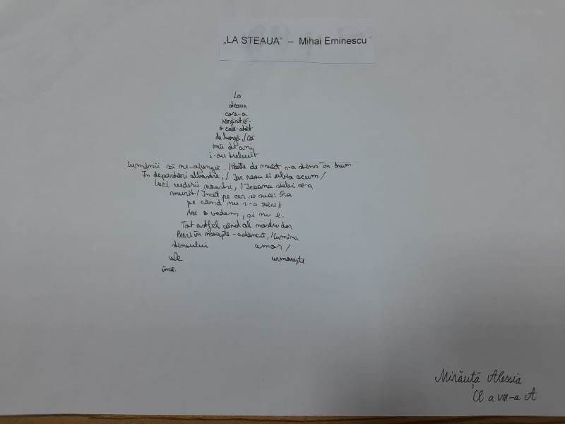 Eminescu Scoala Kogalniceanu Dorohoi_ (9)