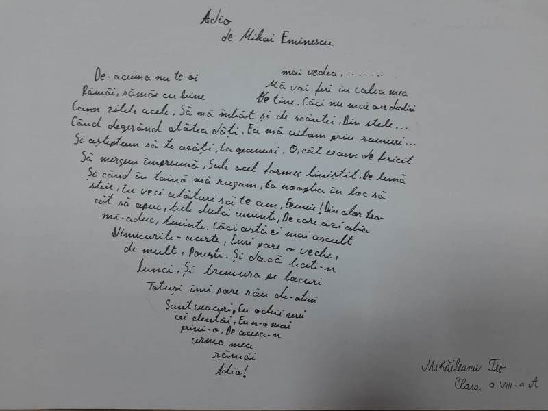 Eminescu Scoala Kogalniceanu Dorohoi_ (12)