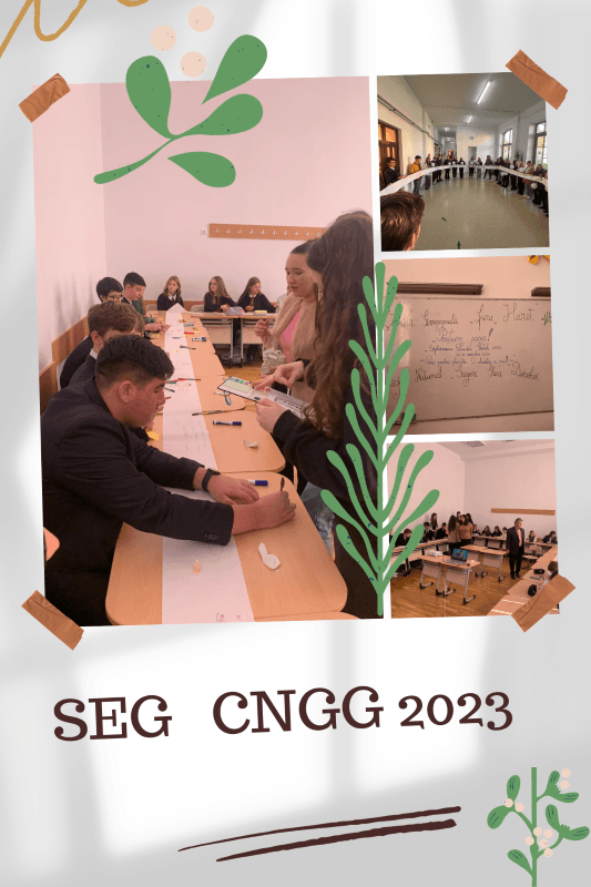 SEG (3)