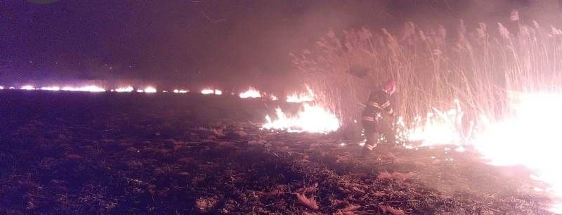 Incendiu Vlasinesti_ (1)