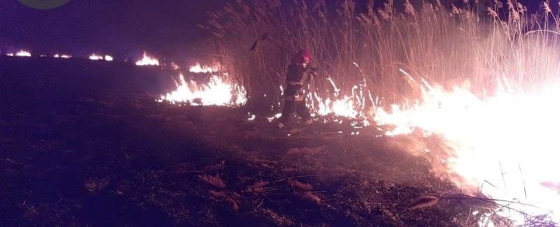 Incendiu Vlasinesti_ (1)