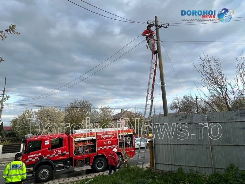 Incendiu Dorohoi_04