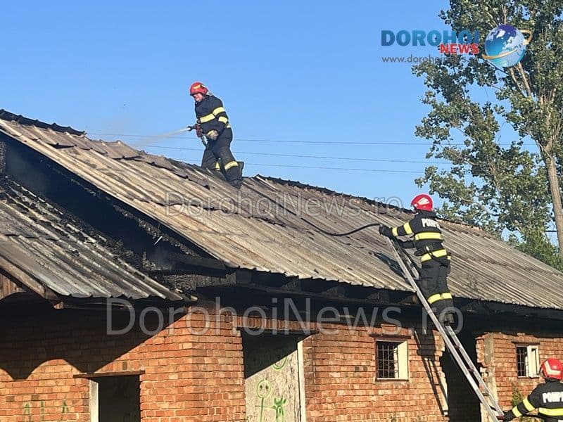 Incendiu DH_08