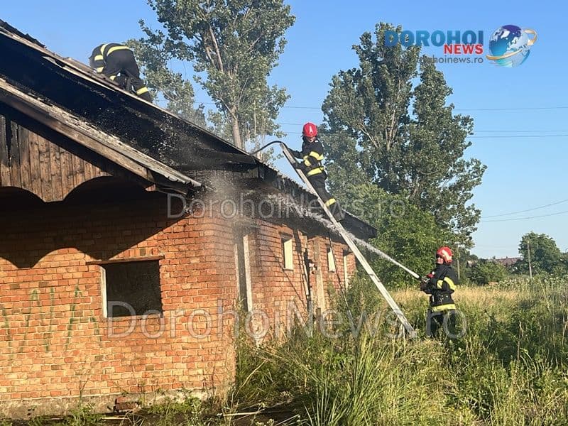 Incendiu DH_11