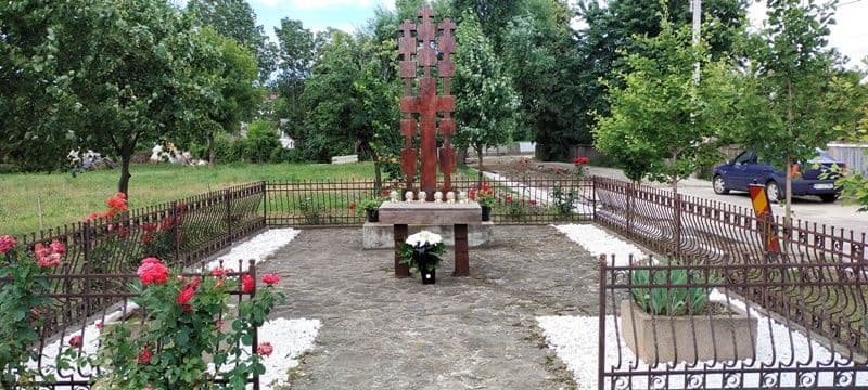 IMG_20230629_094756