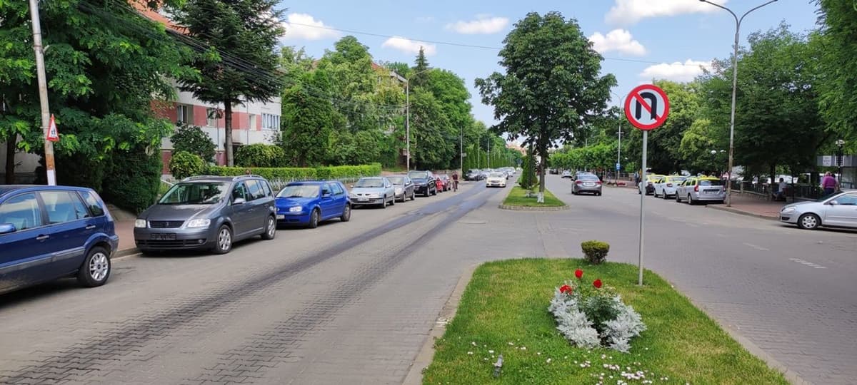 Izvor de fecale Dorohoi_001