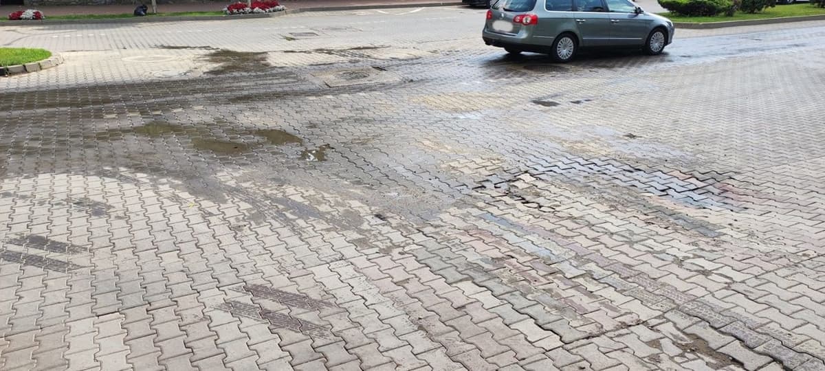 Izvor de fecale Dorohoi_002