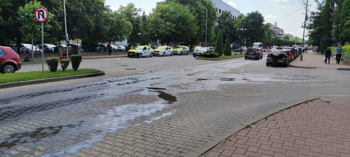 Izvor de fecale Dorohoi_003