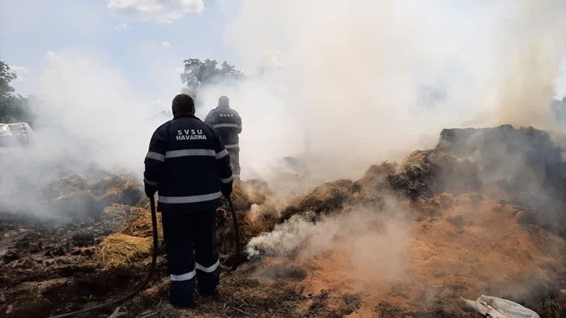 Incendiu furaje Plevna_02