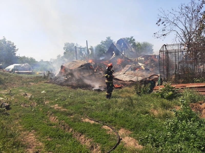 Incendiu furaje Plevna_03
