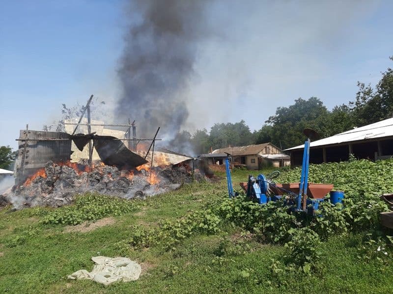 Incendiu furaje Plevna_05