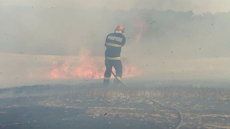Incendiu (4)