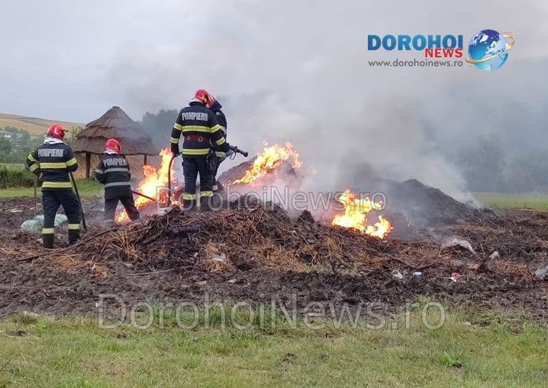 Incendiu Horlaceni_01