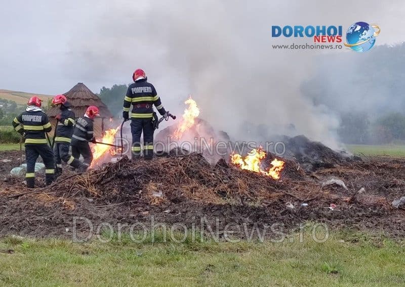 Incendiu Horlaceni_02