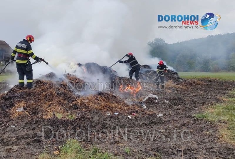 Incendiu Horlaceni_03