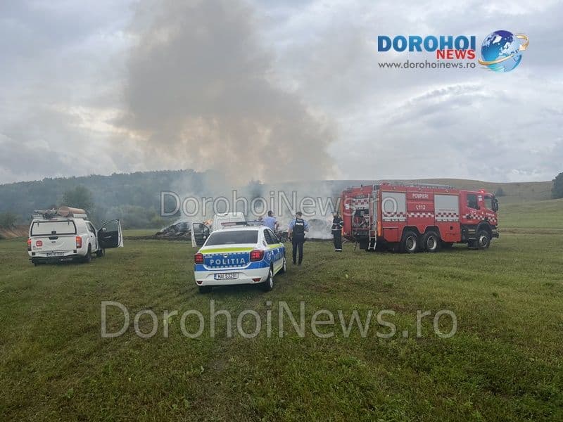 Incendiu Horlaceni_04