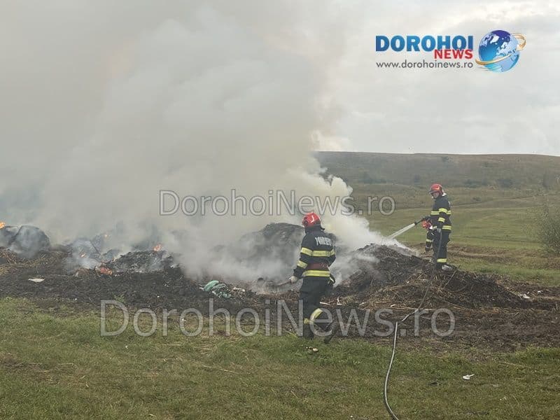 Incendiu Horlaceni_06