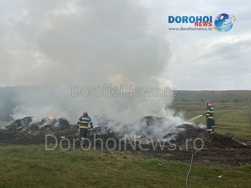 Incendiu Horlaceni_07
