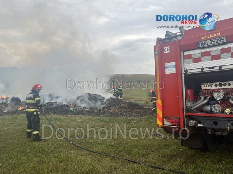 Incendiu Horlaceni_08