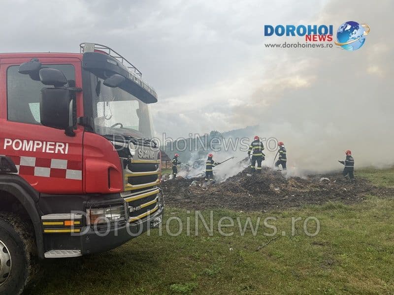 Incendiu Horlaceni_09