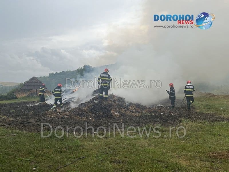 Incendiu Horlaceni_10