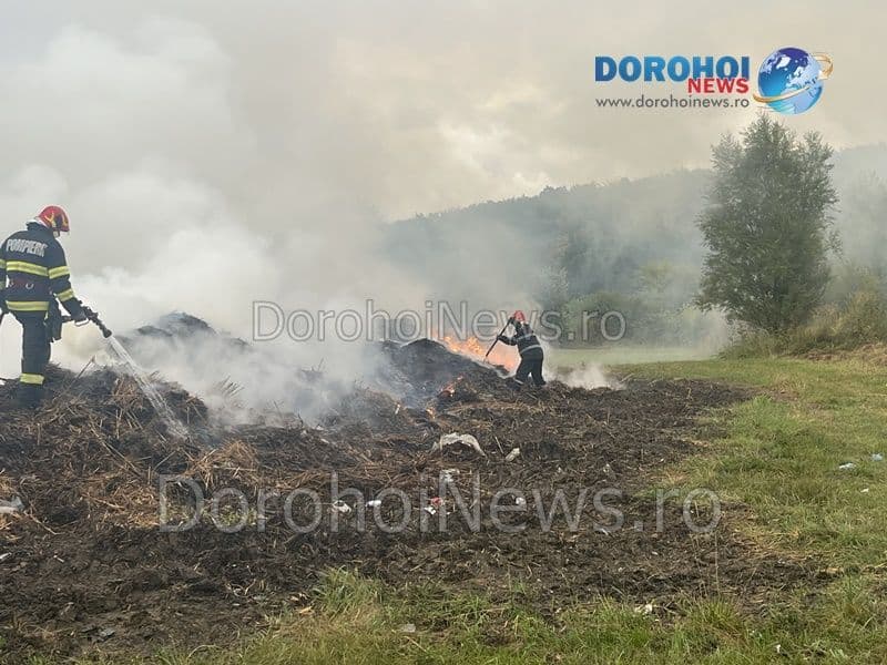 Incendiu Horlaceni_11