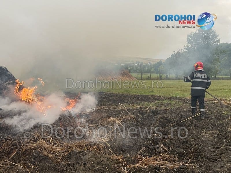 Incendiu Horlaceni_12
