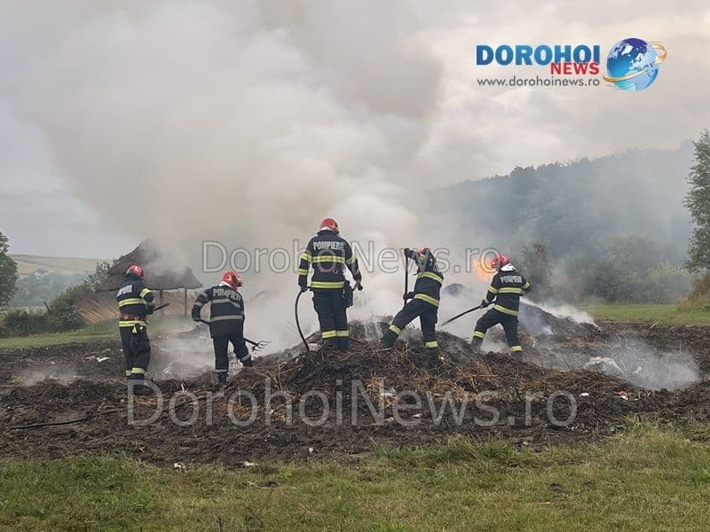 Incendiu Horlaceni_13