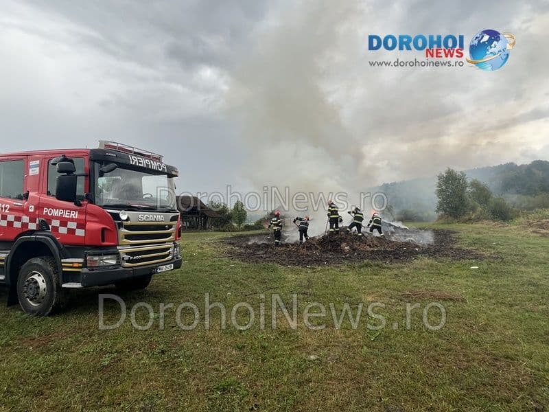 Incendiu Horlaceni_14