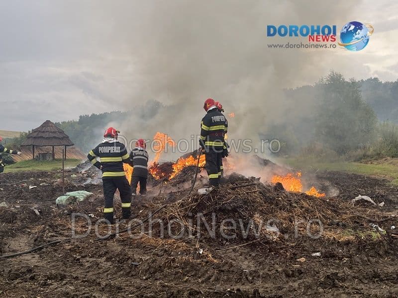 Incendiu Horlaceni_15