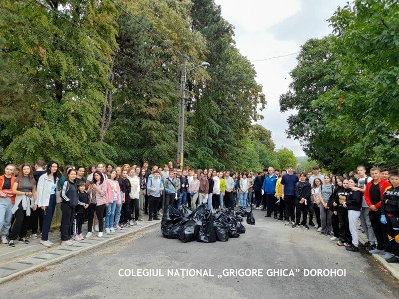 Ecologizare_04