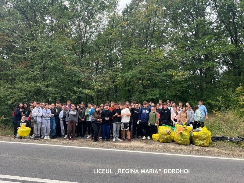 Ecologizare_07